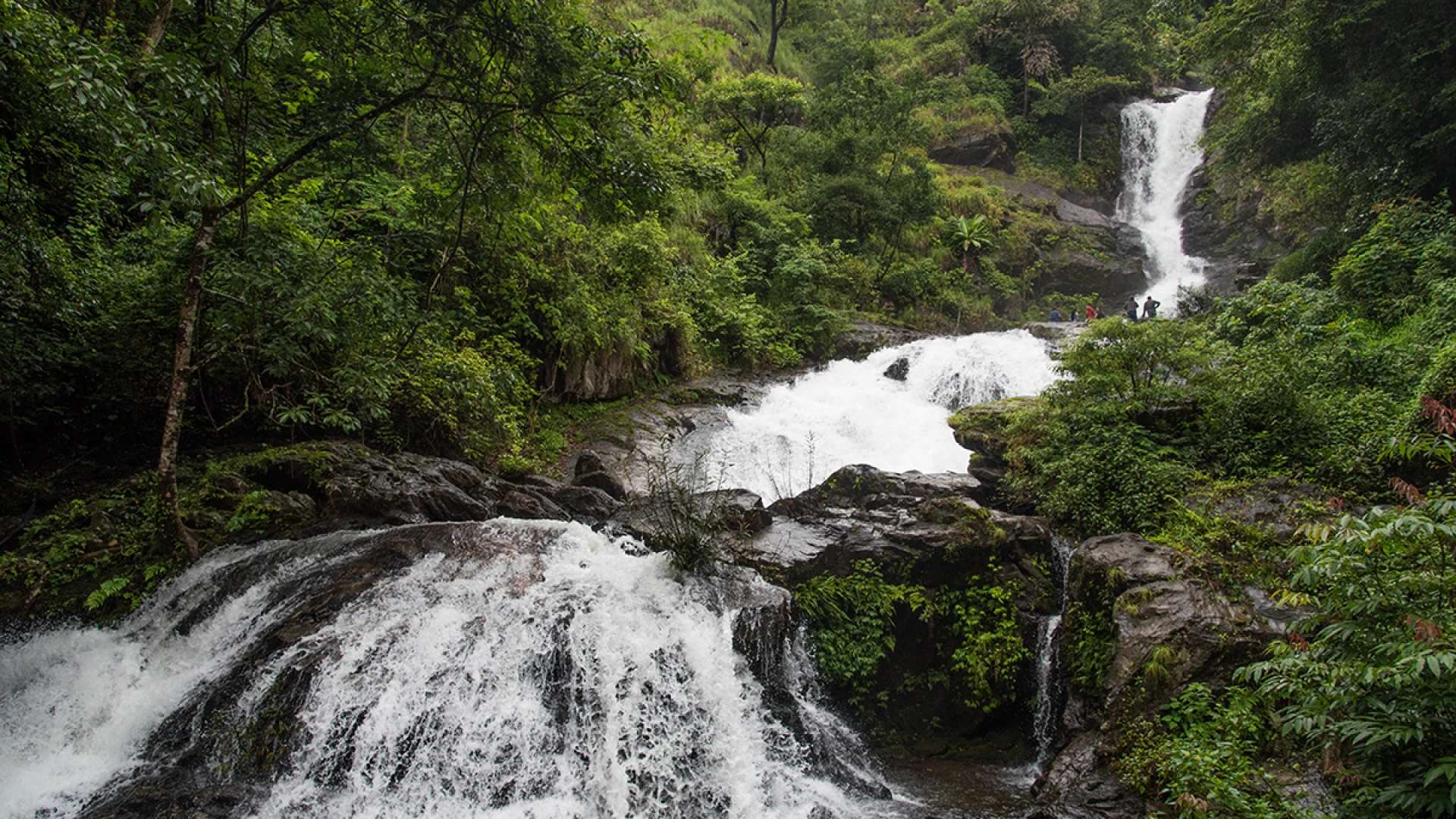 Iruppu Falls, Virajpet